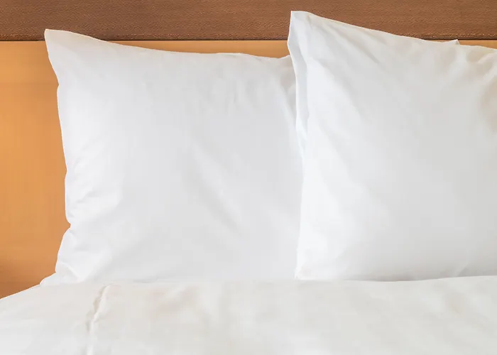 Express & By Ihg Vandalia